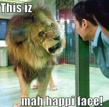 lion-this-is-my-happy-face_zps65b9c96e.jpg
