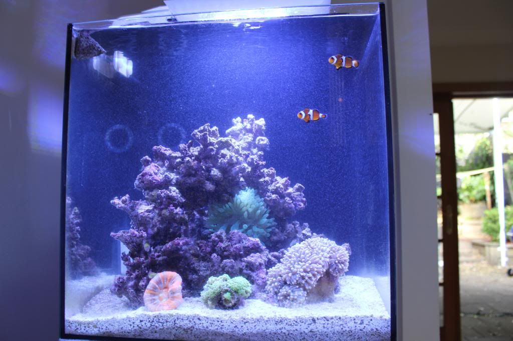 Reefing The Australian Way Forums • View topic 