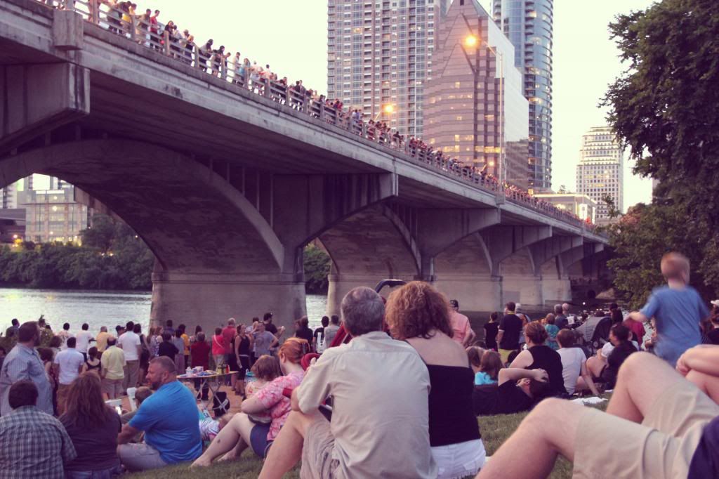 Congress Avenue Bridge Bat Watching // Ten Feet Off Beale