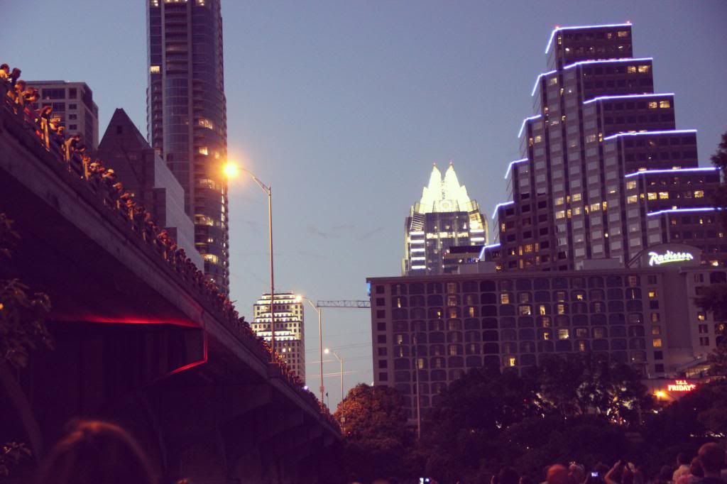 Congress Avenue Bridge Bats // Ten Feet Off Beale