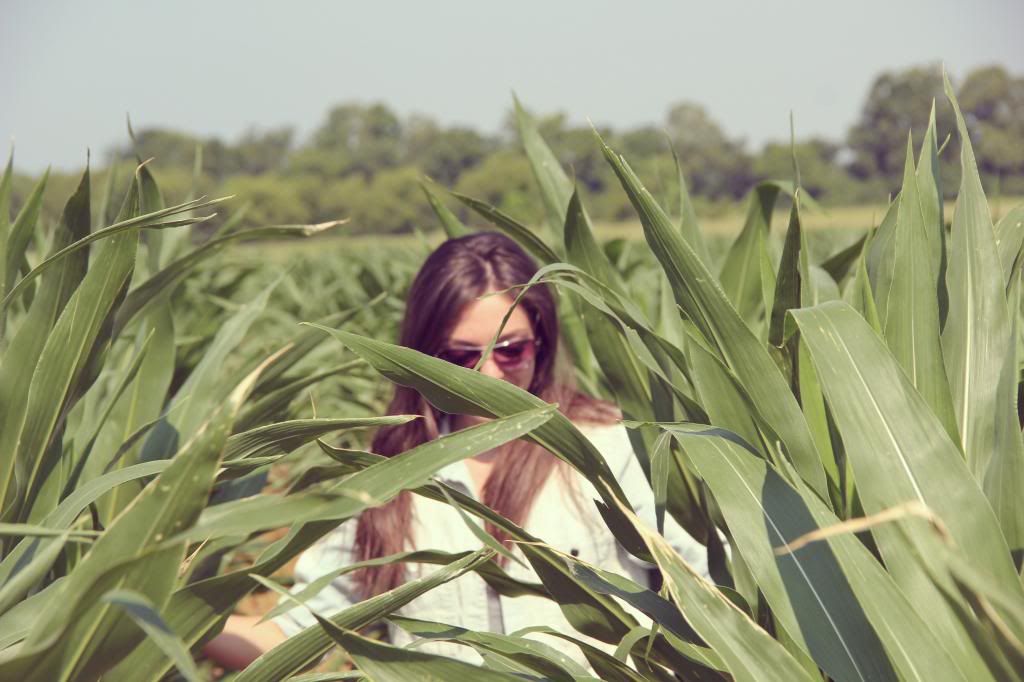 Ten Feet Off Beale Corn Field