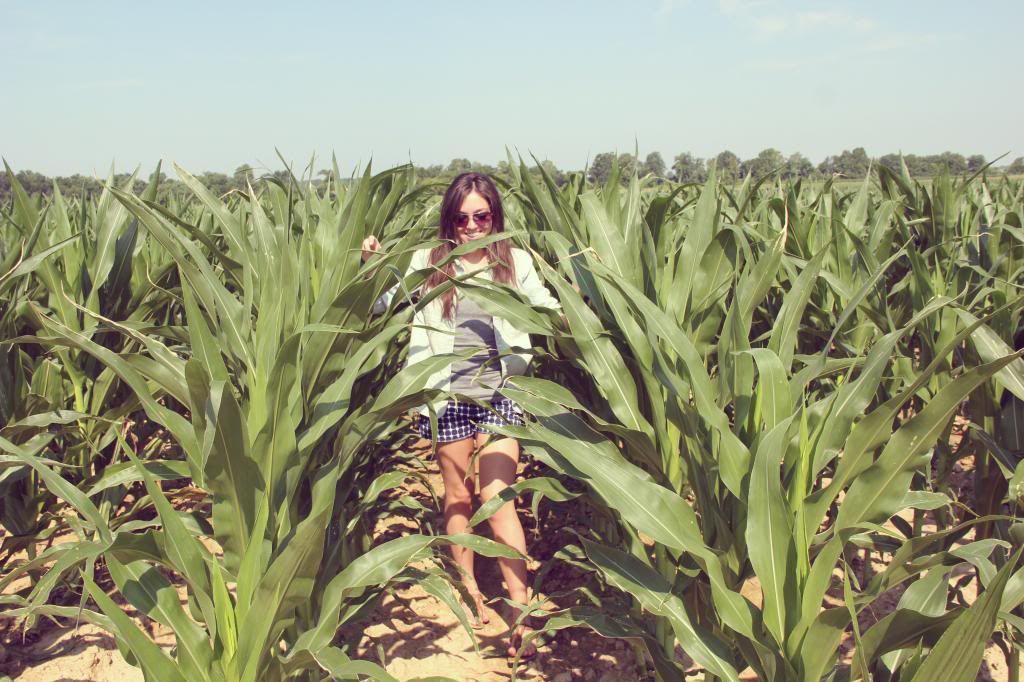 Ten Feet Off Beale Corn Field