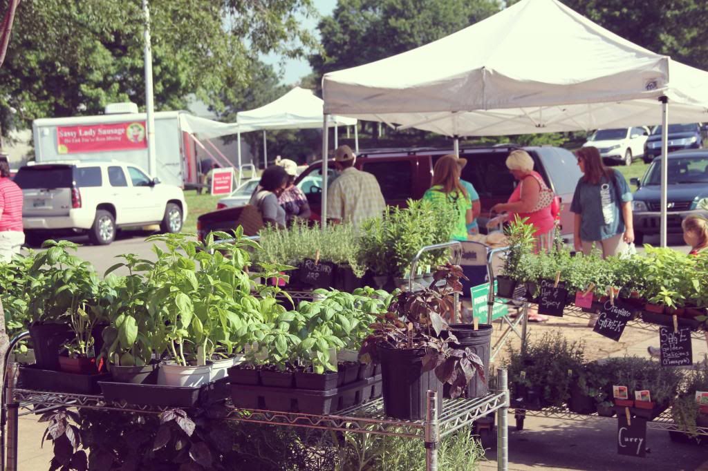 Ten Feet Off Beale Farmer's Market