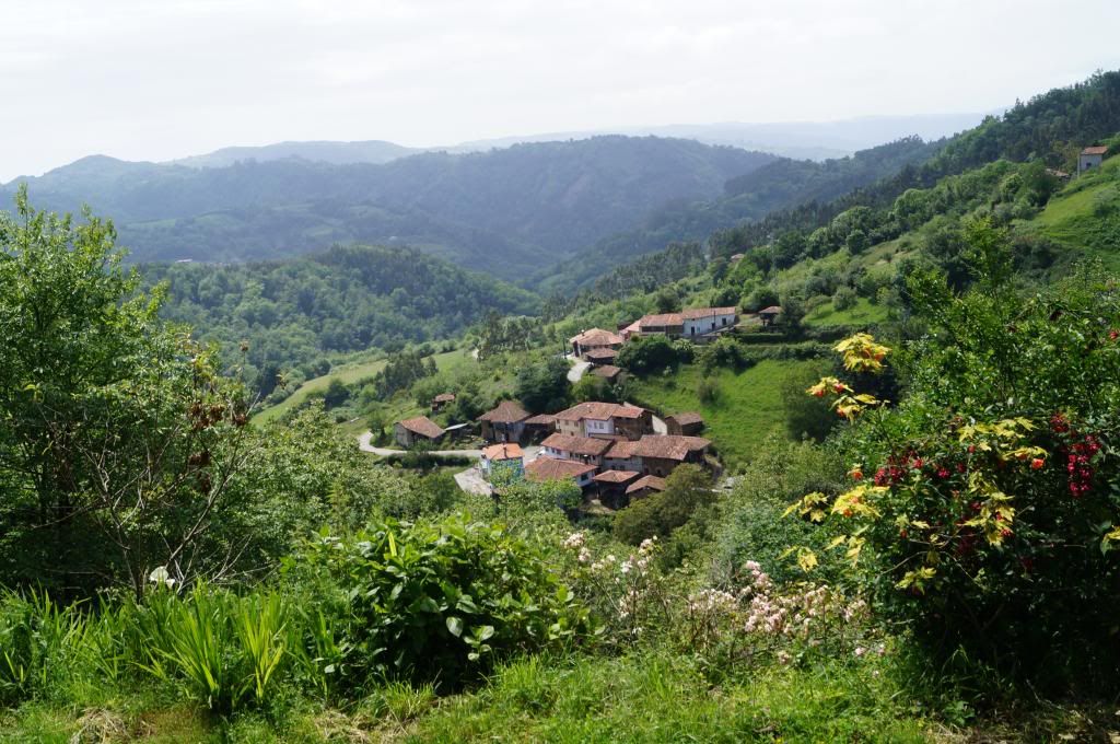 Villaviciosa-Campo de Caso: Primera excursión - Descubriendo Asturias (7)