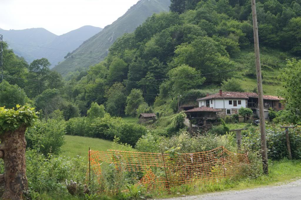 Villaviciosa-Campo de Caso: Primera excursión - Descubriendo Asturias (8)