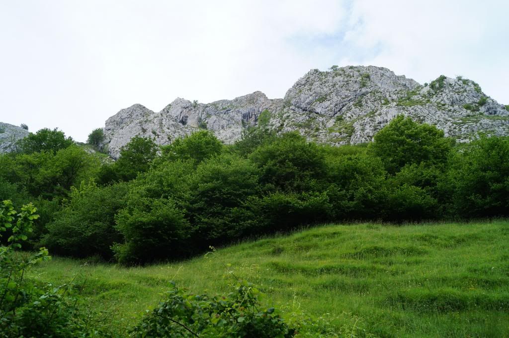 Villaviciosa-Campo de Caso: Primera excursión - Descubriendo Asturias (10)