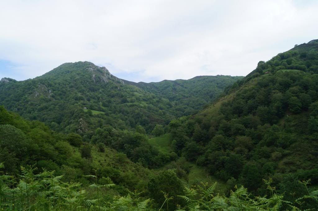 Villaviciosa-Campo de Caso: Primera excursión - Descubriendo Asturias (11)