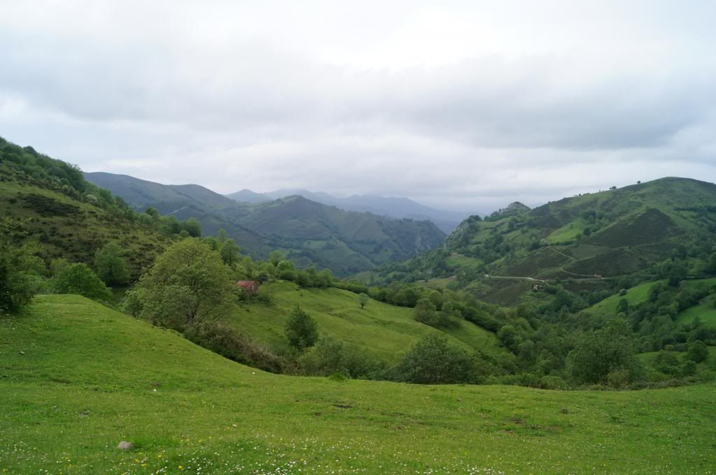 Villaviciosa-Campo de Caso: Primera excursión - Descubriendo Asturias (13)