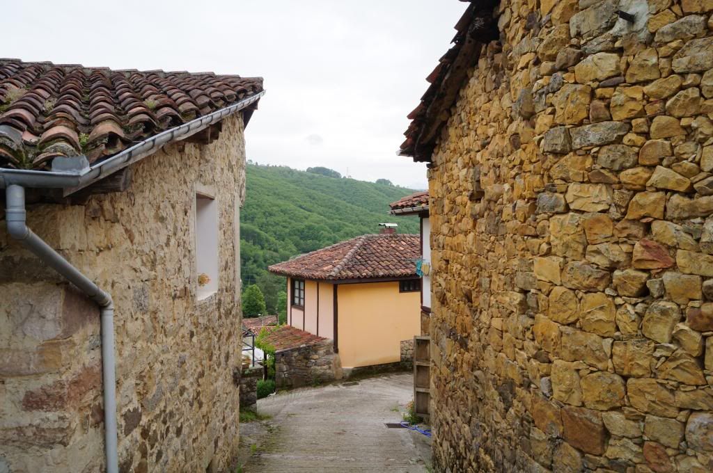 Villaviciosa-Campo de Caso: Primera excursión - Descubriendo Asturias (17)