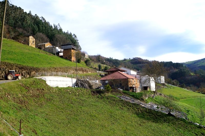 Descubriendo Asturias - Blogs de España - Foces del Esva: Donde el agua hace arte (Valdés-Tineo) (10)