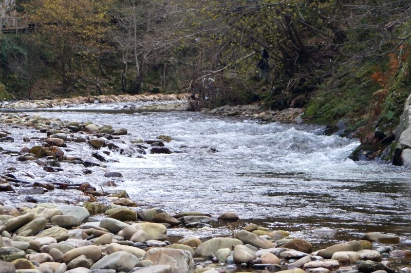 Foces del Esva: Donde el agua hace arte (Valdés-Tineo) - Descubriendo Asturias (17)