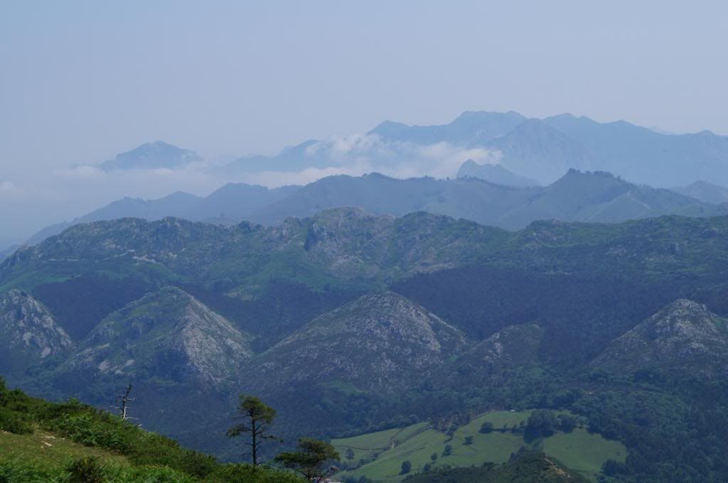 Descubriendo Asturias - Blogs de España - 3 días en Cangas de Onis: Mucho más que Covadonga (10)