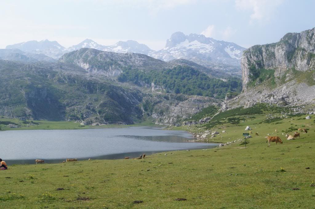 Descubriendo Asturias - Blogs de España - 3 días en Cangas de Onis: Mucho más que Covadonga (12)