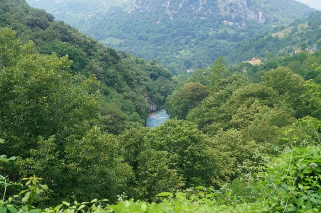 Descubriendo Asturias - Blogs de España - 3 días en Cangas de Onis: Mucho más que Covadonga (21)