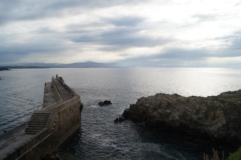 Descubriendo Asturias - Blogs de España - Costa occidental: Entre castros, selvas y puertos (17)