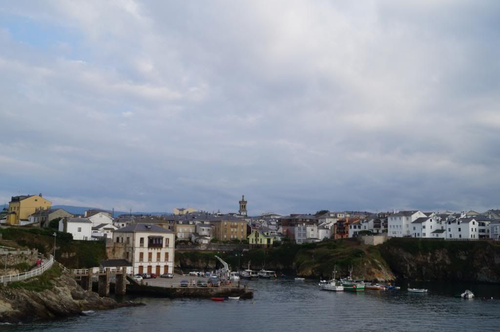 Descubriendo Asturias - Blogs de España - Costa occidental: Entre castros, selvas y puertos (18)