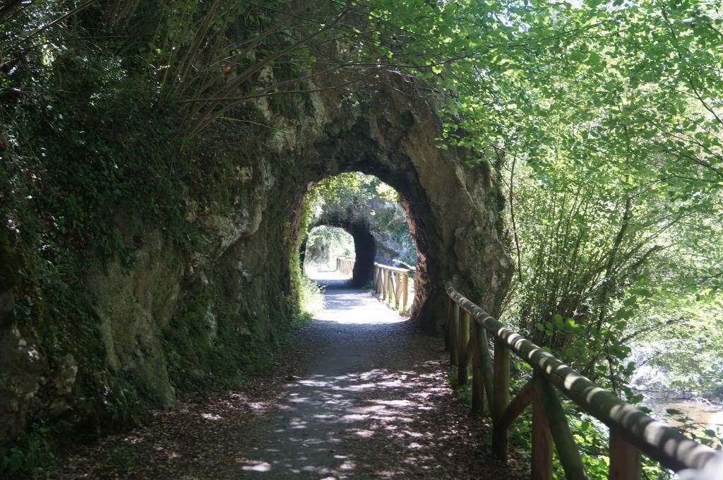 Descubriendo Asturias - Blogs of Spain - Senda del Oso: Más que una ruta (8)