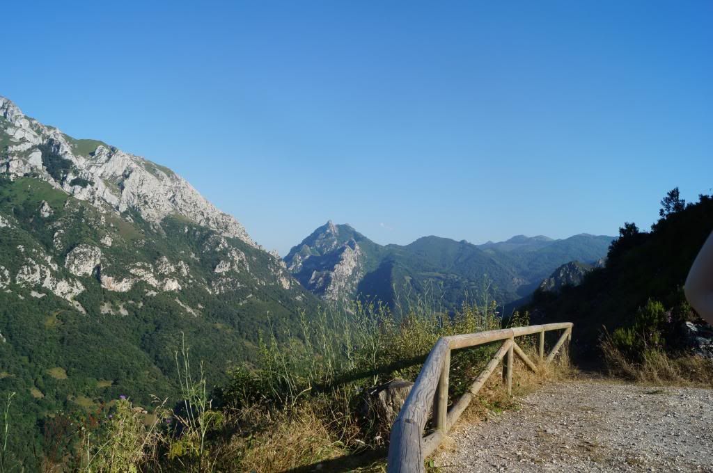 Descubriendo Asturias - Blogs de España - Senda del Oso: Más que una ruta (18)