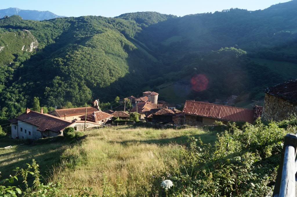 Descubriendo Asturias - Blogs of Spain - Senda del Oso: Más que una ruta (20)