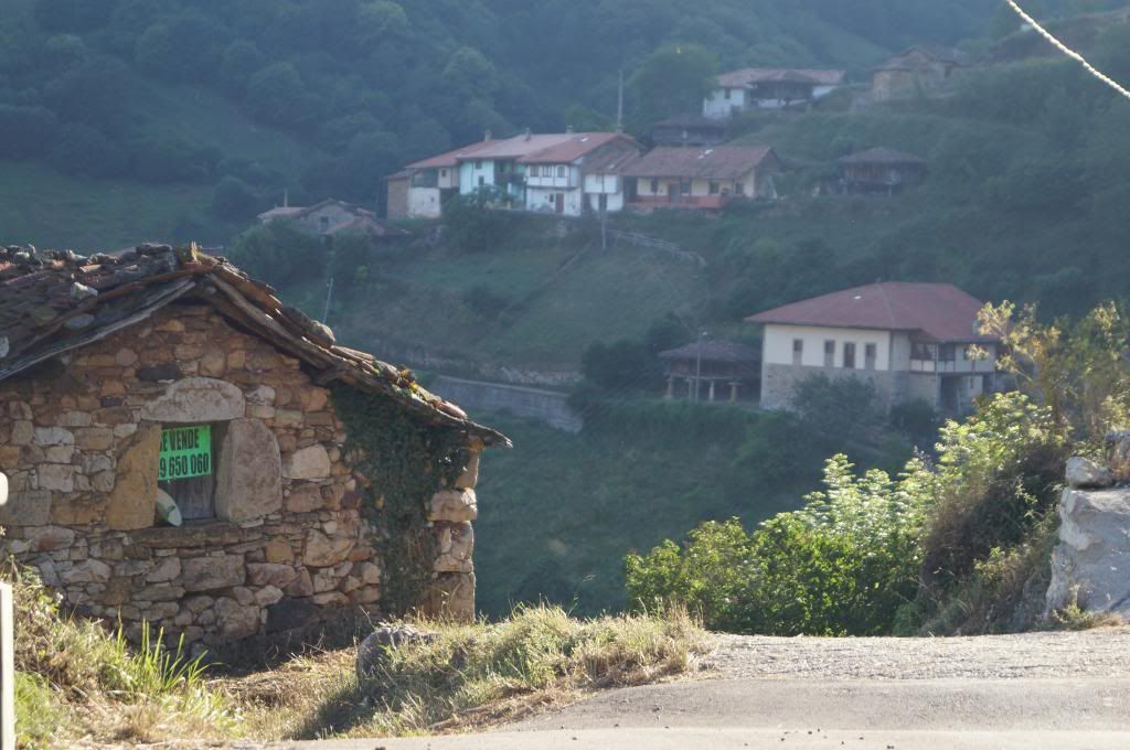 Descubriendo Asturias - Blogs of Spain - Senda del Oso: Más que una ruta (21)
