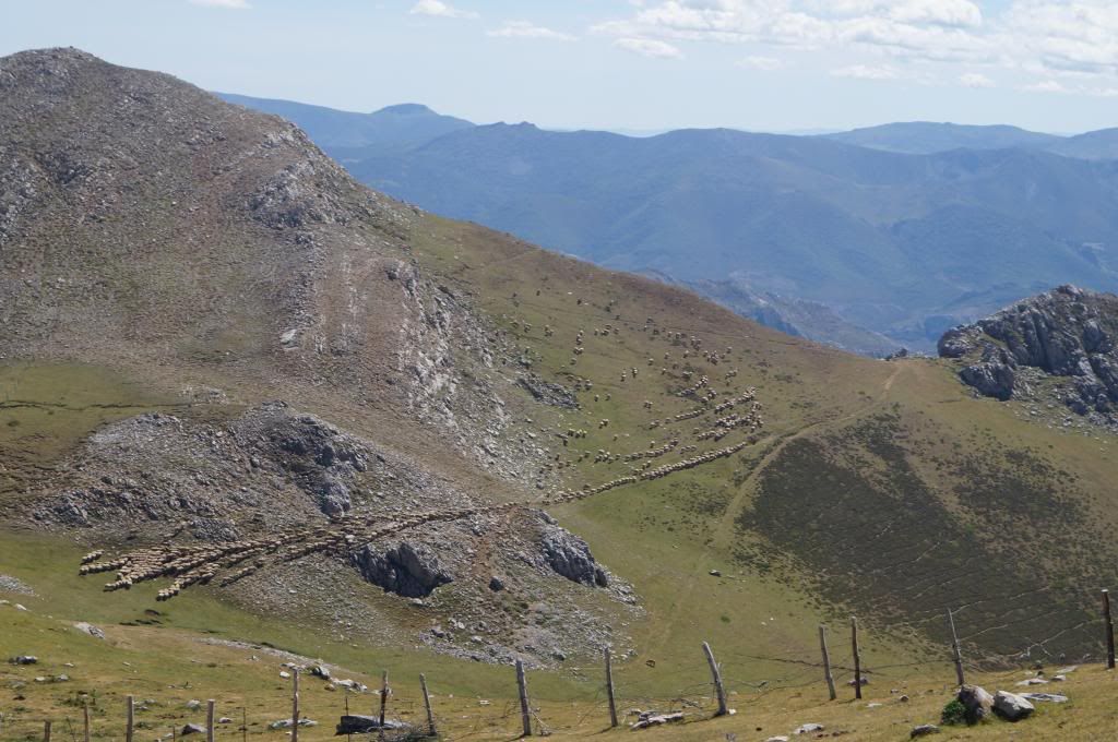Descubriendo Asturias - Blogs de España - Peña Ubiña: La cima de Asturias central (PN Ubiñas) (18)