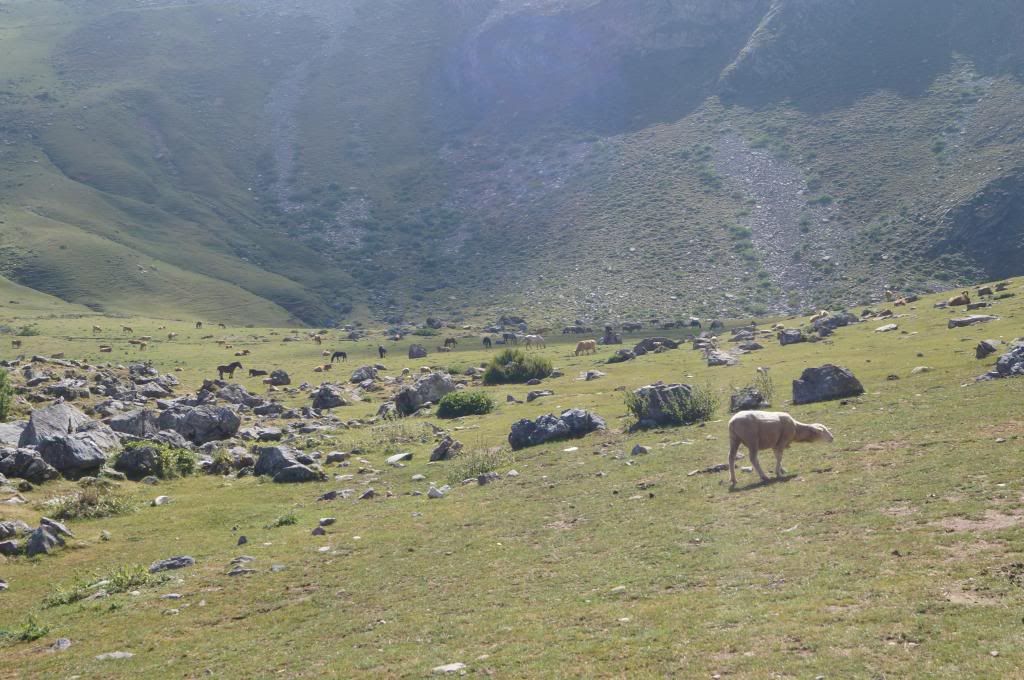 Descubriendo Asturias - Blogs of Spain - Peña Ubiña: La cima de Asturias central (PN Ubiñas) (19)