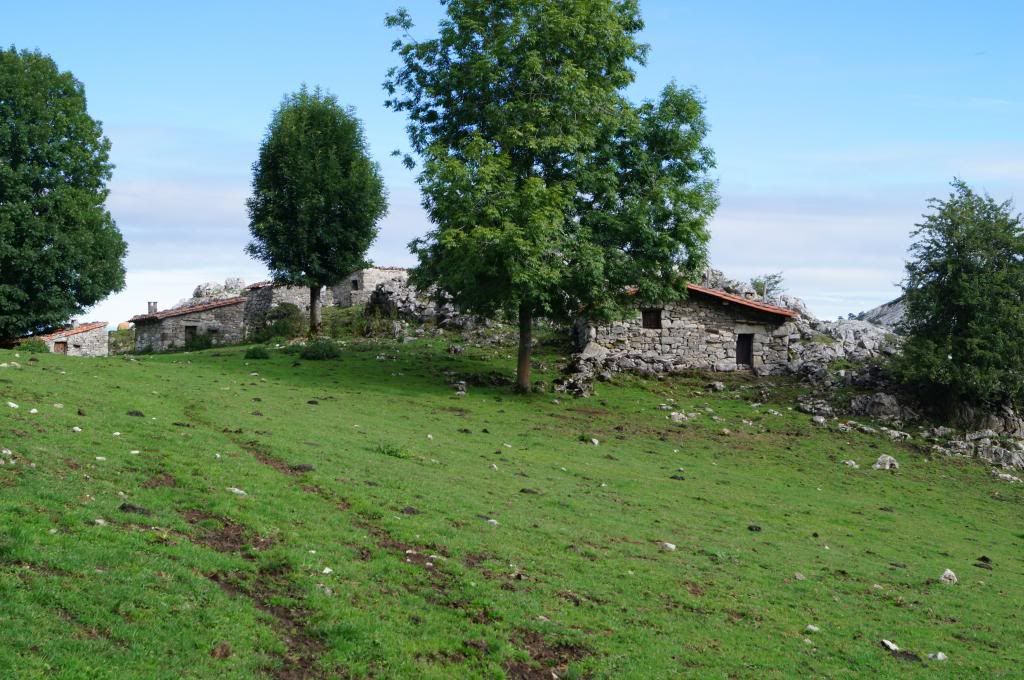Descubriendo Asturias - Blogs of Spain - Mirador de Ordiales: La magia de los Picos de Europa (7)