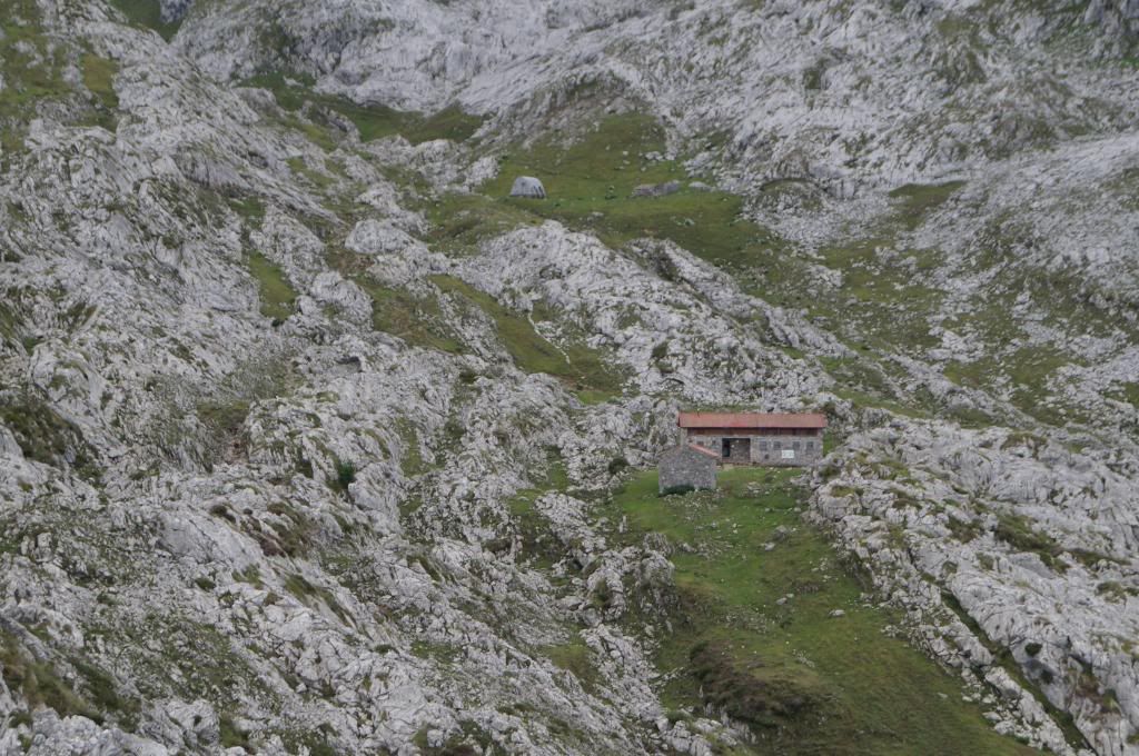 Descubriendo Asturias - Blogs de España - Mirador de Ordiales: La magia de los Picos de Europa (10)