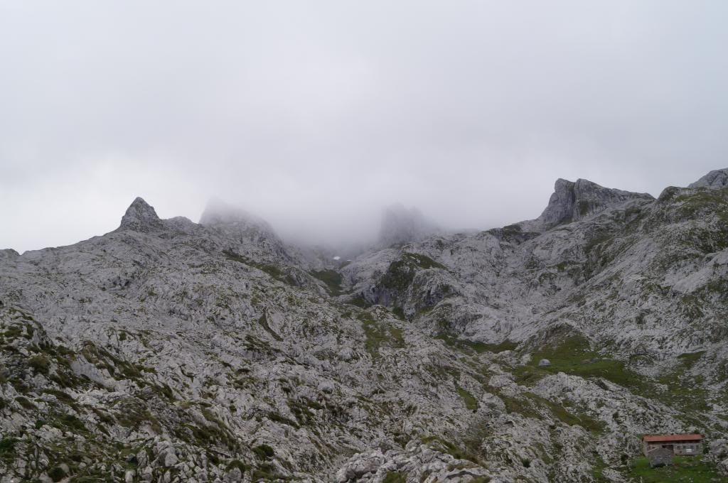 Descubriendo Asturias - Blogs de España - Mirador de Ordiales: La magia de los Picos de Europa (11)