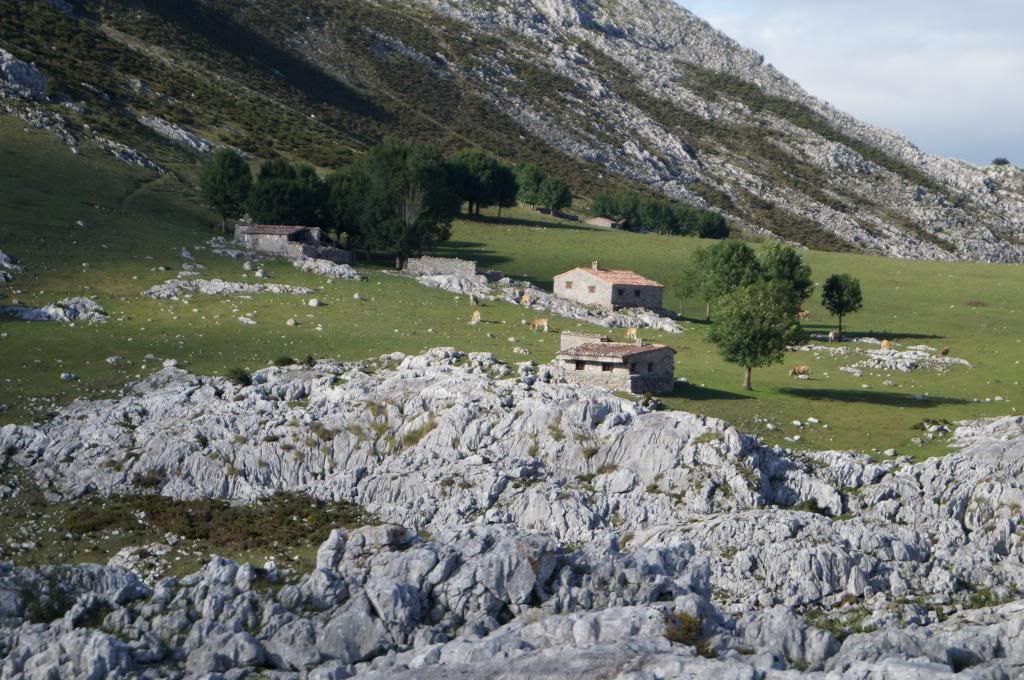 Descubriendo Asturias - Blogs de España - Mirador de Ordiales: La magia de los Picos de Europa (3)