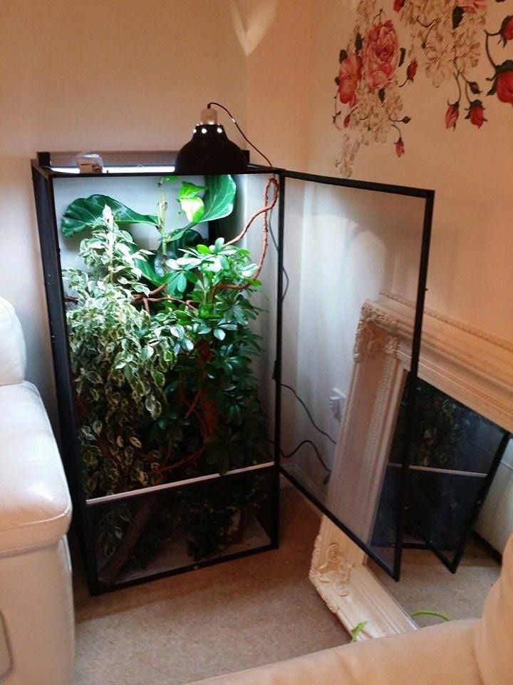 Xl reptibreeze spare , what reptile ? Reptile Forums