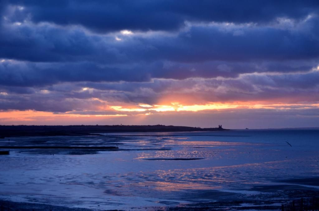 IMAGE: http://i1300.photobucket.com/albums/ag86/viscountdriver/dgrin1_zpsbe0a6328.jpg