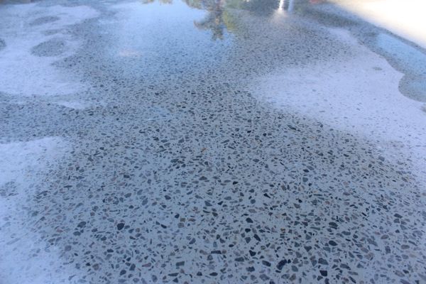 bluegum, polished concrete flooring