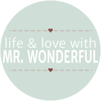 Life and Love with Mr. Wonderful