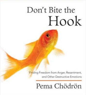 Don't Bite the Hook: Finding Freedom from Anger, Resentment, and Other Destructive Emotions (Audiobook) Don't Bite the Hook: Finding Freedom from Anger, Resentment, and Other Destructive Emotions (Audiobook)
