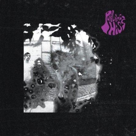 Purling Hiss - Water on Mars (2013) Purling Hiss - Water on Mars (2013)