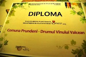 Vintest