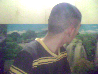 daulinhmy04_zps68bf456f.png