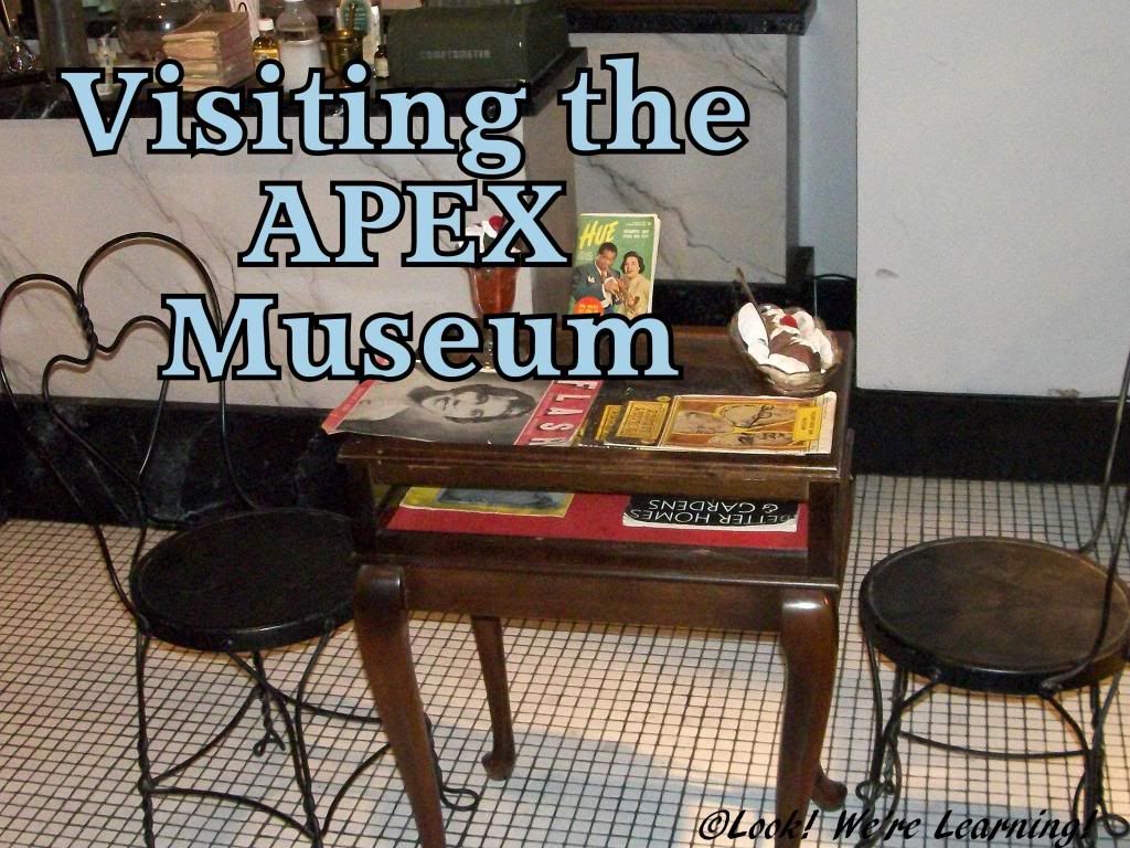 Visiting the APEX Museum: Look! We're Learning!