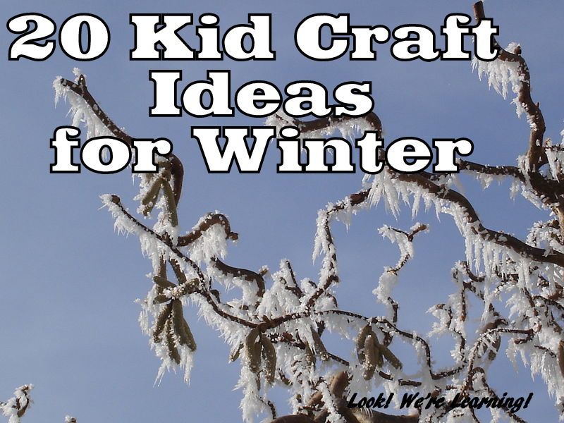 20 Kid Craft Ideas for Winter: Look! We're Learning!