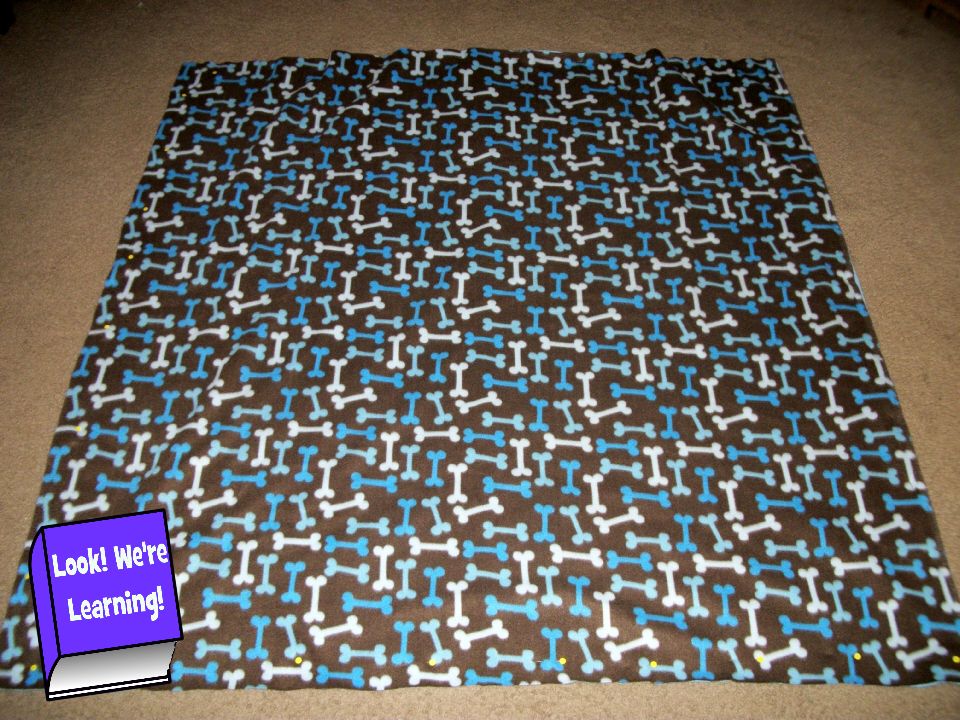 Super Simple Fleece Blankets: Look! We're Learning!