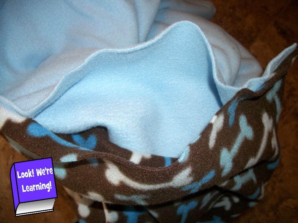 Super Simple Fleece Blankets: Look! We're Learning!