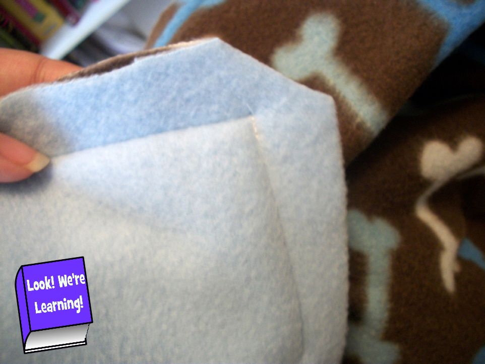 Super Simple Fleece Blankets: Look! We're Learning!