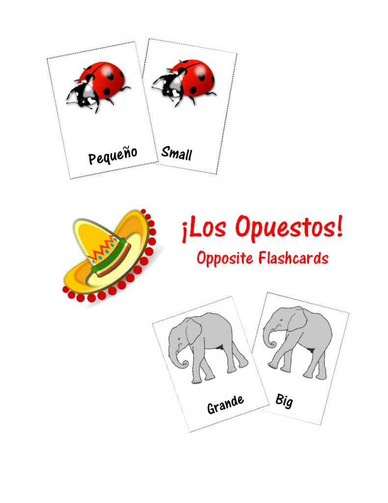 Spanish Opposite Word Flashcards: Look! We're Learning!
