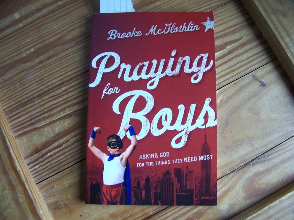 Praying for Boys book