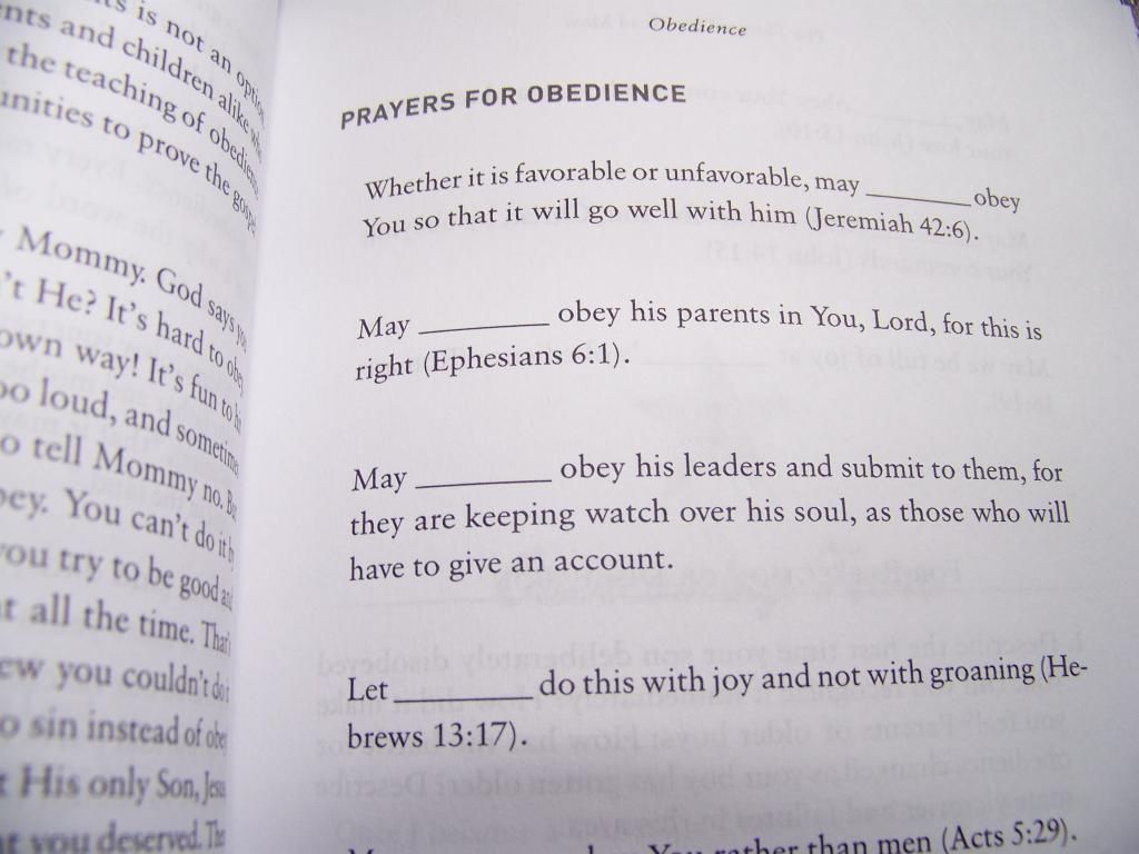 praying for boys book page