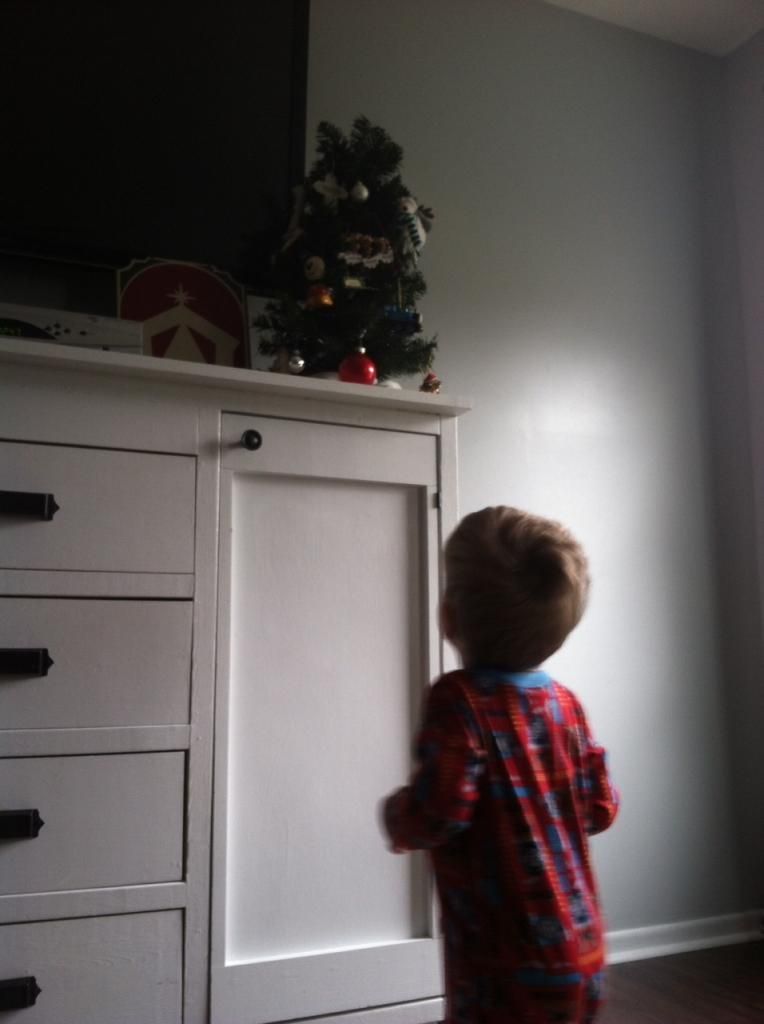 my son looking at the little Christmas tree
