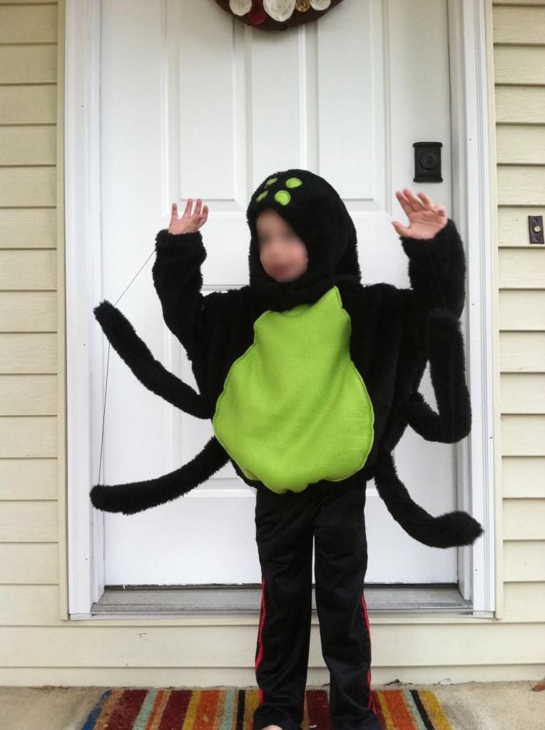 diy spider halloween costume