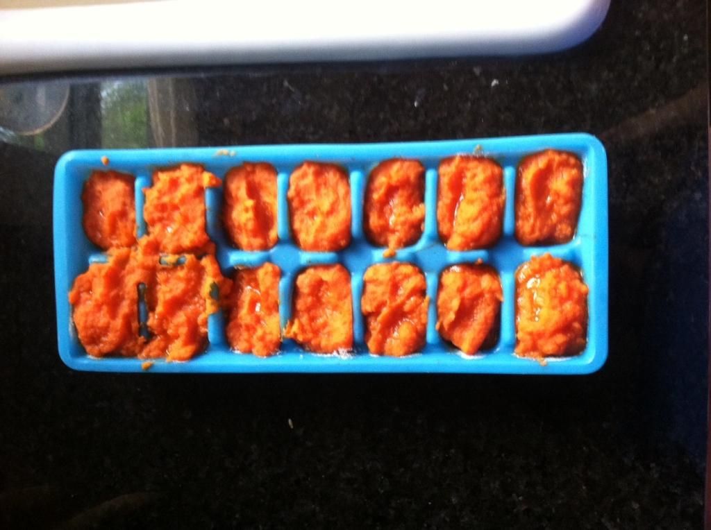 carrot mash in ice cube trays