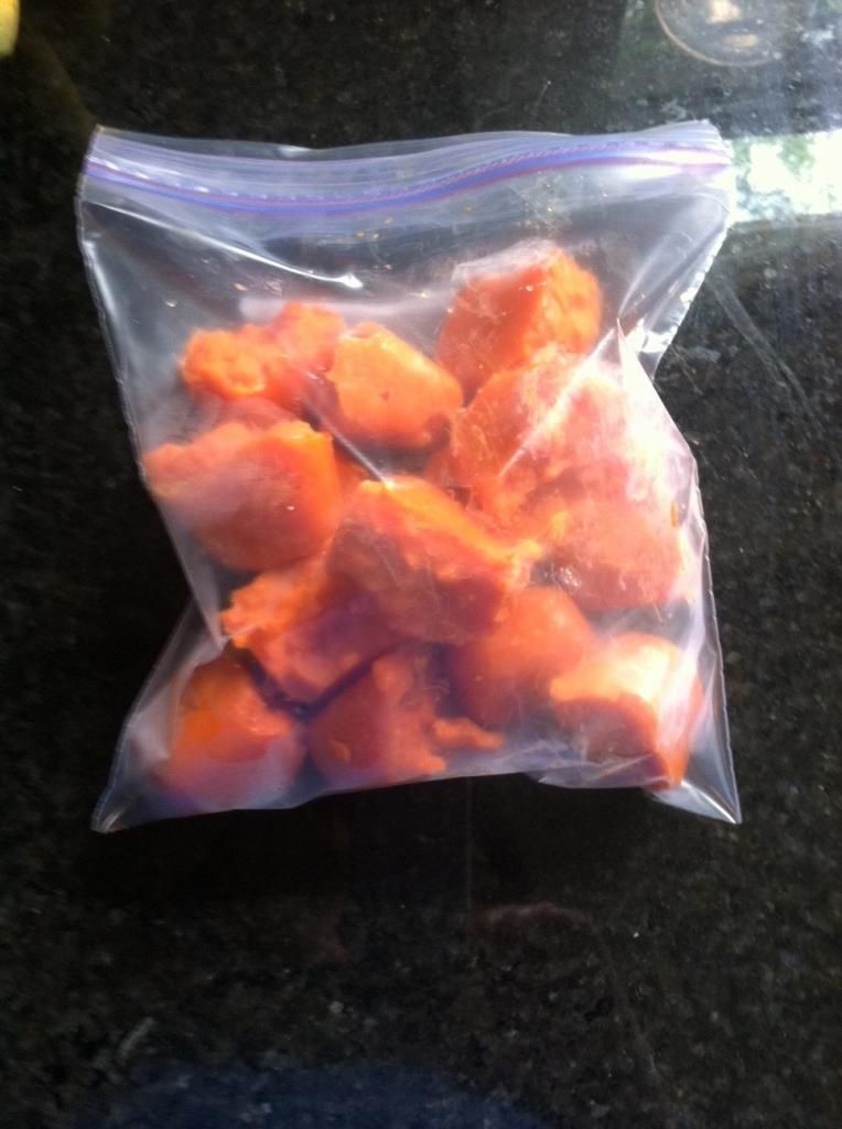 frozen cubes of mashed carrots in a clear plastic bag